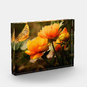 Bloemen en vlinder fotoblokken (Links)