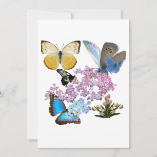 Bloemen en vlinders: een nieuwe biggening kaart