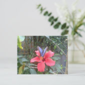 Bloemen en vlinders in Franche Comte Briefkaart (Staand voorkant)