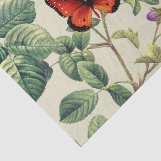 bloemen en vlinders, ontkoppeling, voetzool tissuepapier (Detail)