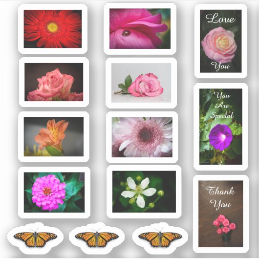 Bloemen en vlinders sticker (Voorkant)
