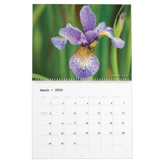 Bloemen en vogels Agenda 2022 Kalender (Mar 2026)