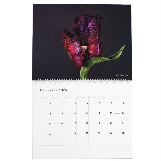 Bloemen en vogels Agenda 2022 Kalender (Feb 2026)