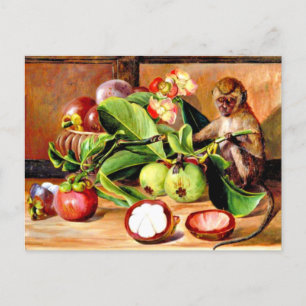 Bloemen en vruchten van Mangosteen; Singapore Monk Briefkaart