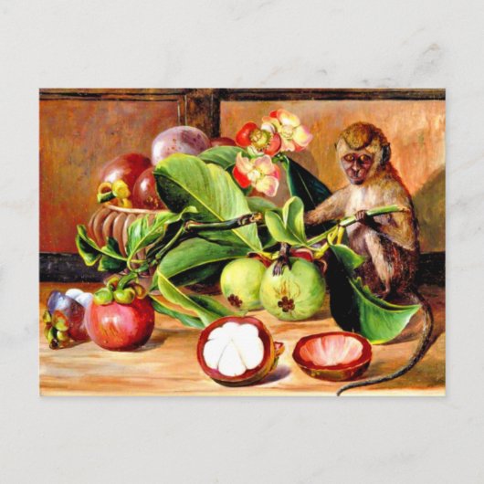 Bloemen en vruchten van Mangosteen; Singapore Monk Briefkaart (Voorkant)
