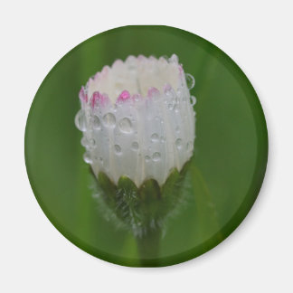 Bloemen en waterdruppels magneet