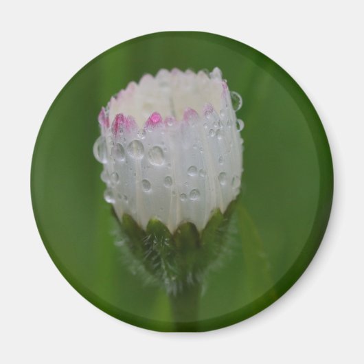 Bloemen en waterdruppels magneet (Voorkant)