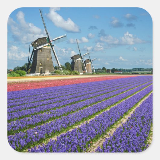 Bloemen en windmolens foto sticker (Voorkant)