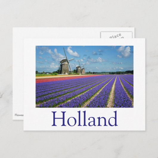 Bloemen en windmolens in Holland, tekst briefkaart (Voorkant / Achterkant)