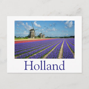 Bloemen en windmolens in Holland, tekst briefkaart