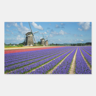 Bloemen en windmolens rechthoekige sticker