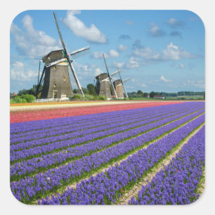 Bloemen en windmolens vierkante sticker