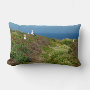 Bloemen en zeegarens op Anacapa Kussen