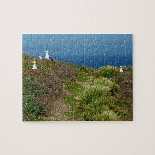 Bloemen en zeegarens op Anacapa Legpuzzel (Horizontaal)