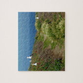 Bloemen en zeegarens op Anacapa Legpuzzel (Verticaal)