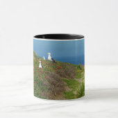 Bloemen en zeegarens op Anacapa Mok (Midden)