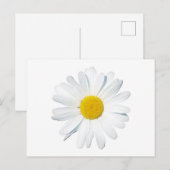 Bloemen | Enkele dagen Briefkaart (Voorkant / Achterkant)