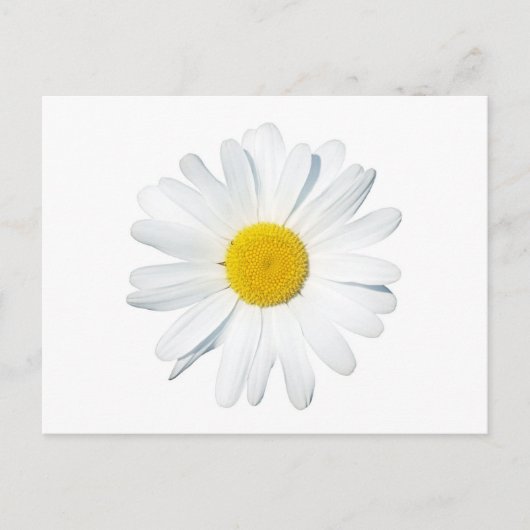 Bloemen | Enkele dagen Briefkaart (Voorkant)