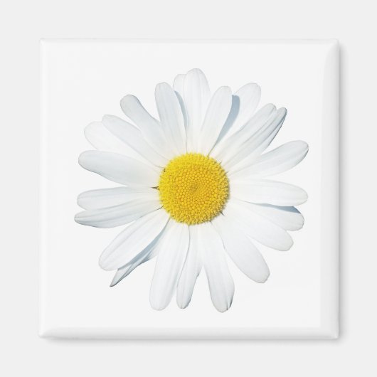 Bloemen | Enkele dagen Magneet (Voorkant)