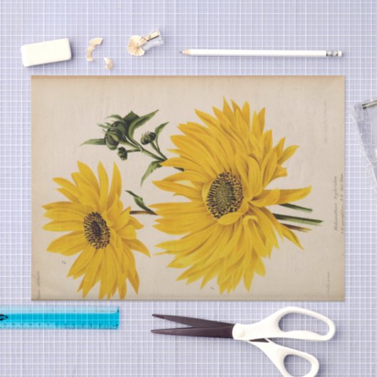 Bloemen Ephemera Decoupage Gele Zonnebloemen Tissuepapier (Craft)