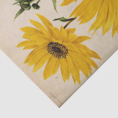 Bloemen Ephemera Decoupage Gele Zonnebloemen Tissuepapier (Detail)