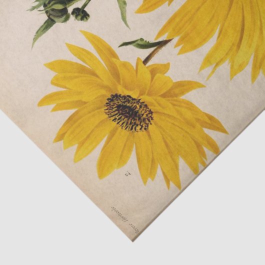 Bloemen Ephemera Decoupage Gele Zonnebloemen Tissuepapier (Detail)