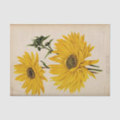 Bloemen Ephemera Decoupage Gele Zonnebloemen Tissuepapier (Voorkant)