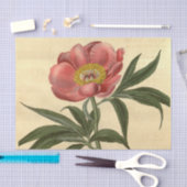 Bloemen Ephemera Decoupage Roze Bloem Tissuepapier (Craft)