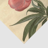 Bloemen Ephemera Decoupage Roze Bloem Tissuepapier (Detail)