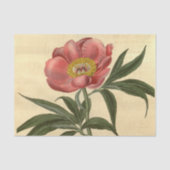 Bloemen Ephemera Decoupage Roze Bloem Tissuepapier (Voorkant)