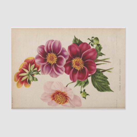 Bloemen Ephemera Decoupage Roze Bloemen Tissuepapier (Voorkant)