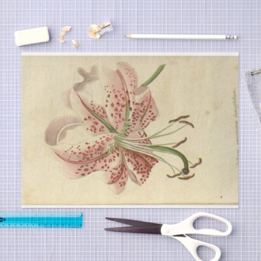 Bloemen Ephemera Decoupage Roze Bloemen Tissuepapier (Craft)