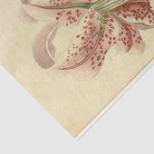 Bloemen Ephemera Decoupage Roze Bloemen Tissuepapier (Detail)