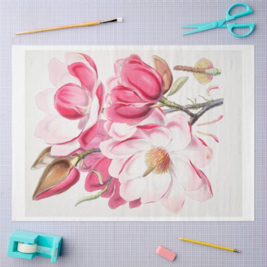 Bloemen Ephemera Decoupage Roze Magnolia Bloemen Tissuepapier (Craft)