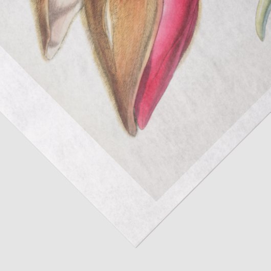 Bloemen Ephemera Decoupage Roze Magnolia Bloemen Tissuepapier (Detail)