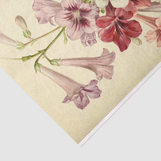 Bloemen Ephemera Decoupage roze paarse bloemen Tissuepapier (Detail)