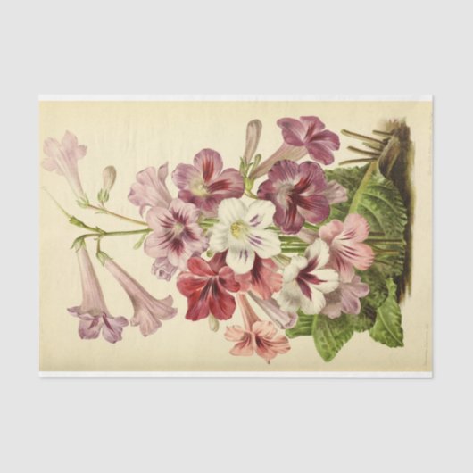Bloemen Ephemera Decoupage roze paarse bloemen Tissuepapier (Voorkant)