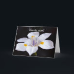 Bloemen Faith Iris Flower Hartelijk dank Kaart<br><div class="desc">De bloemen van het Vertrouwen zijn kaarten en producten met bloemen en bemoedigende Bijbelse Schrift. Alle afbeeldingen zijn originele foto's en digitale kunst gemaakt door mij. Ik fotografeer graag bloemen en koppel de afbeeldingen met Scripture om anderen aan te moedigen. Aan de voorzijde van deze kaart staat een prachtige Afrikaanse...</div>