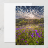 Bloemen | Flinders Ranges Australië Bedankkaart (Voorkant / Achterkant)