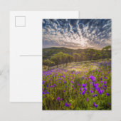 Bloemen | Flinders Ranges Australië Briefkaart (Voorkant / Achterkant)