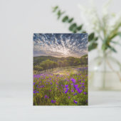 Bloemen | Flinders Ranges Australië Briefkaart (Staand voorkant)