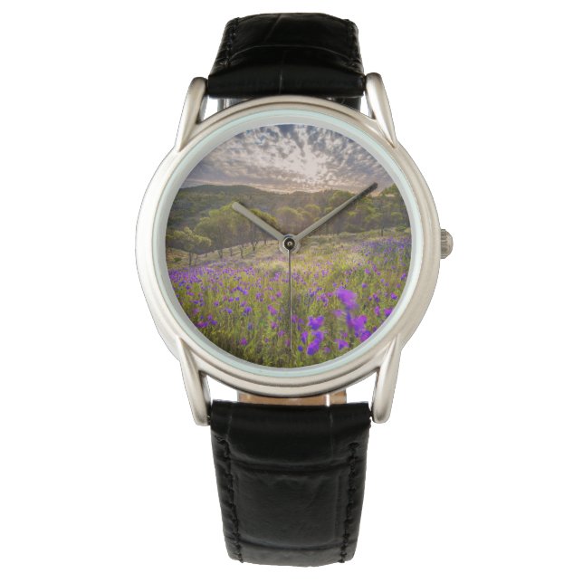 Bloemen | Flinders Ranges Australië Horloge (Voorkant)