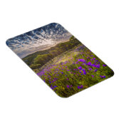 Bloemen | Flinders Ranges Australië Magneet (Rechterzijde)