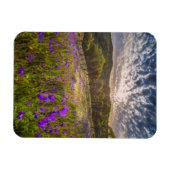 Bloemen | Flinders Ranges Australië Magneet (Horizontaal)