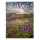 Bloemen | Flinders Ranges Australië Notitieboek (Voorkant)