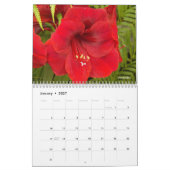 bloemen Floral Fotografisch Kalender (Jan 2027)