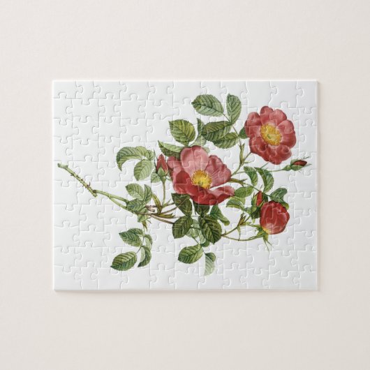  bloemen Floral Red Rose of Love van Redoute Legpuzzel (Horizontaal)