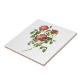  bloemen Floral Red Rose of Love van Redoute Tegeltje (Zijkant)