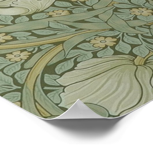  bloemen Floral William Morris Pimpernel Poster (Hoek)