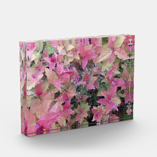 Bloemen foto (Links)